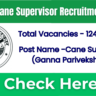 UPSSSC Cane Supervisor Recruitment 2026 Notification Out Soon for 1128 Posts